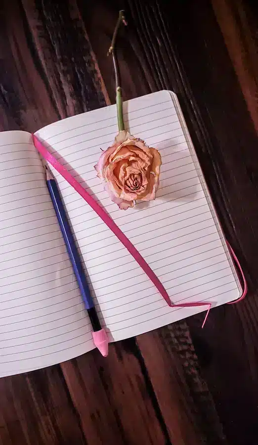 Journaling, the Ultimate Guide On How to do it for Your Personal Growth 4 open journal with a blue pencil and a dry rose in the middle.- jWhat is the point of journaling?