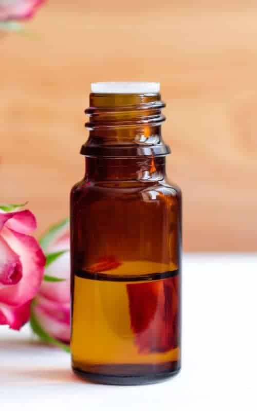 Rose Water for Hair: A 2024 Must-Have 6 rose petals and bottle