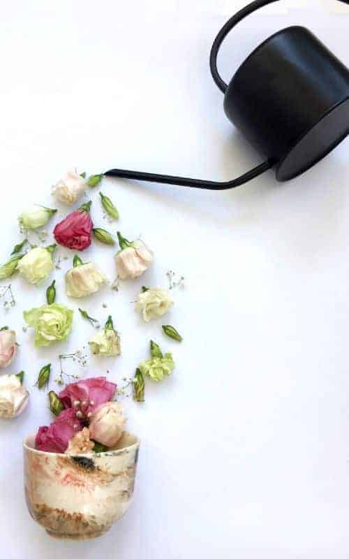 Rose Water for Hair: A 2024 Must-Have 5 roe petals