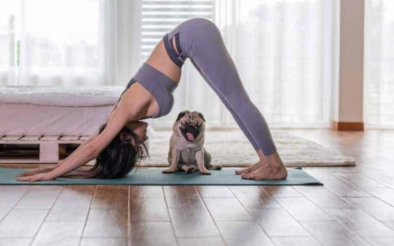 What Is Puppy Yoga? A Detailed Explanation 5 women during practice puppy yoga