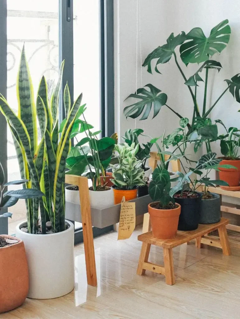 11 Bold Ideas For a boho living room on a budget 10 add Plants